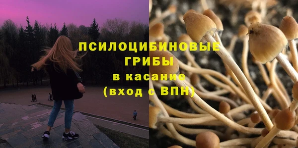 дживик Осинники