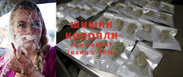 дживик Осинники