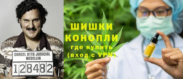 молекула духа Переславль-Залесский
