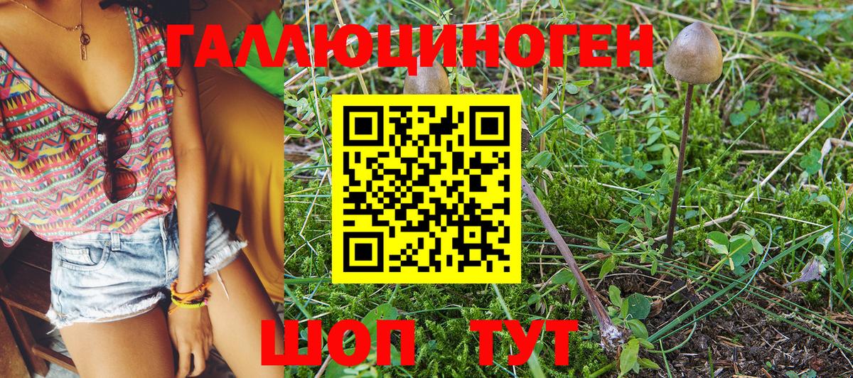 Псилоцибиновые грибы Magic Shrooms  Ступино  Псилоцибиновые грибы Cubensis 