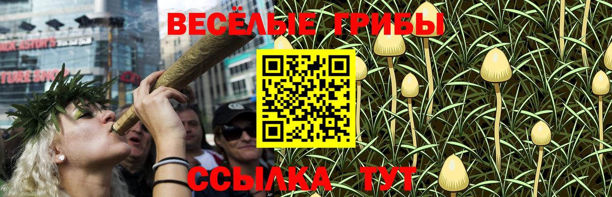 Галлюциногенные грибы ЛСД Ступино